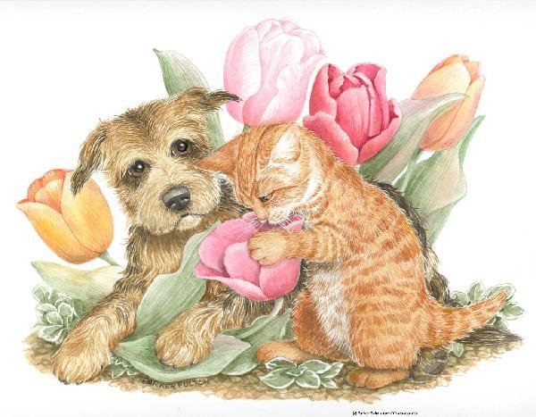 серия ,,животные" - животные.собака.кошка.цветы.тюльпаны - оригинал