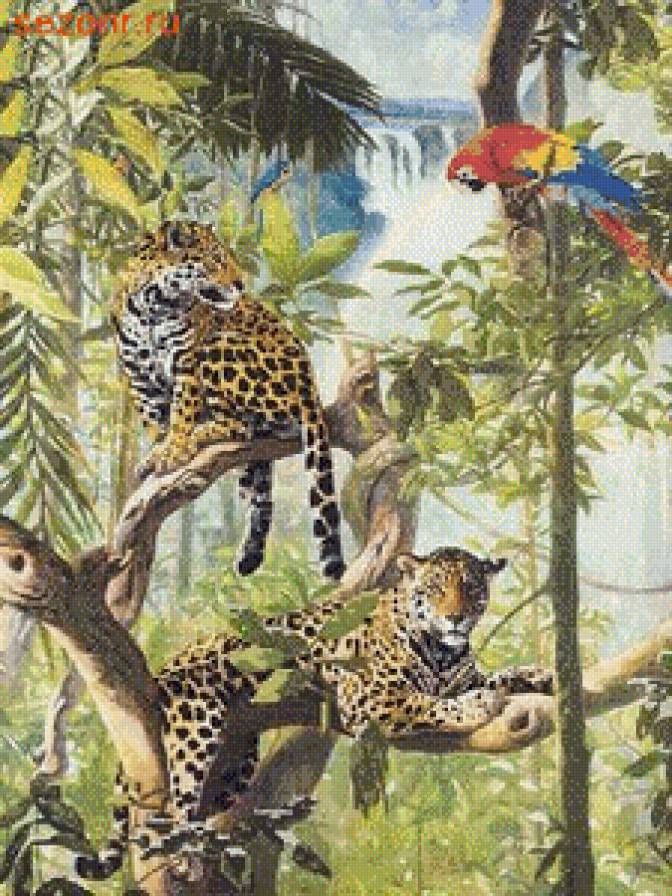 серия ,,животные" - животные.гепарды.попугай - предпросмотр