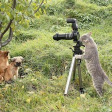 Схема вышивки «серия ,,животные"»