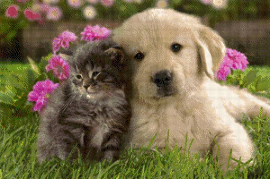 серия ,,животные" - животные.собака.кошка - предпросмотр