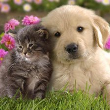 Схема вышивки «серия ,,животные"»