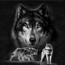 Схема вышивки «Волки»