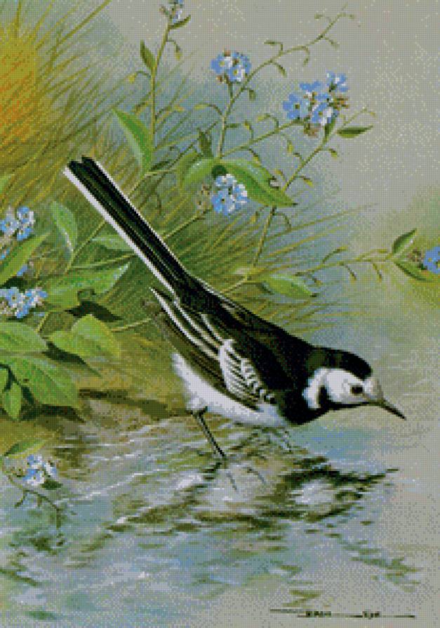 Серия "Птицы" - цветы, птицы - предпросмотр