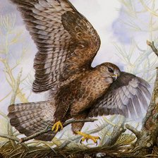 Схема вышивки «Серия "Птицы"»