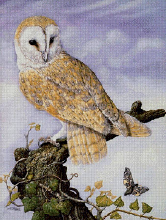 Серия "Птицы" - птицы, совы - предпросмотр