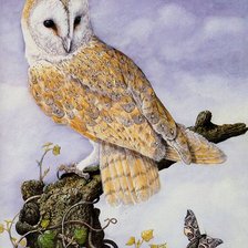 Схема вышивки «Серия "Птицы"»