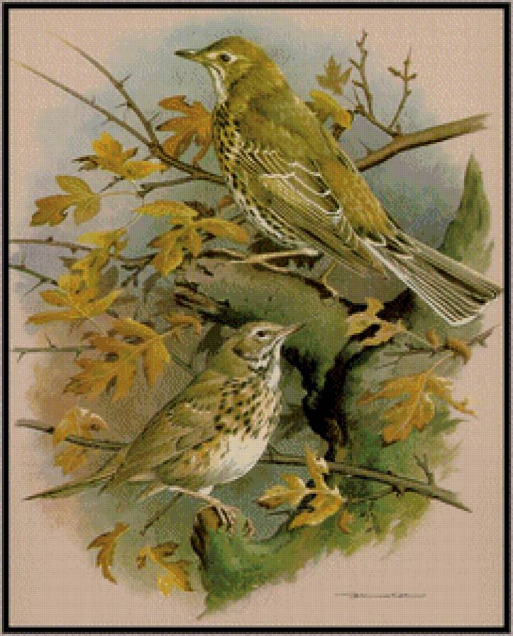 Серия "Птицы" - осень, птицы - предпросмотр