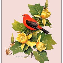 Схема вышивки «Серия "Птицы"»