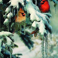 Схема вышивки «Серия "Птицы"»