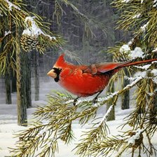 Схема вышивки «Серия "Птицы"»