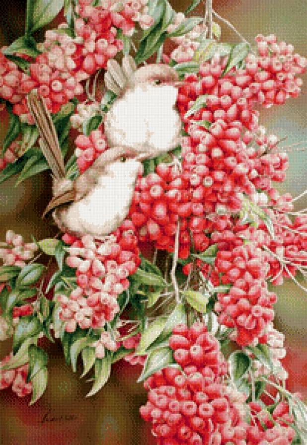 Серия "Птицы" - ягоды, птицы - предпросмотр