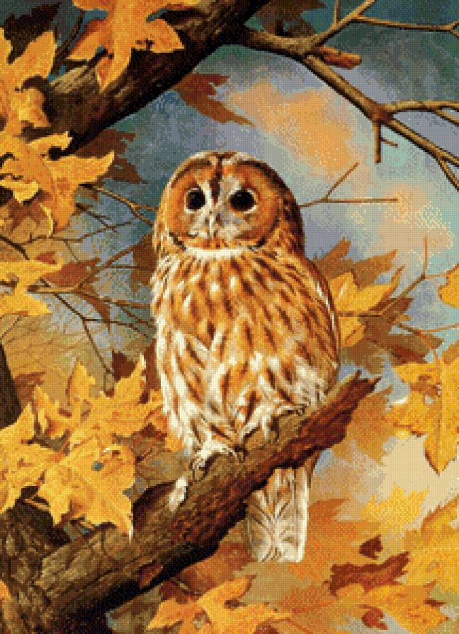 Серия "Птицы" - совы, осень, птицы - предпросмотр