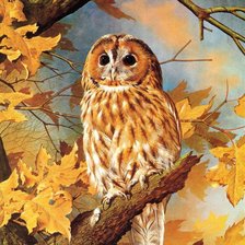 Схема вышивки «Серия "Птицы"»