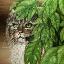 Схема вышивки «Серия "Кошки"»