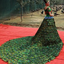 Схема вышивки «Павлин.Женский образ.»