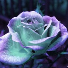 Схема вышивки «Под ультрафиолетом ))»