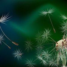 Схема вышивки «Одуванчик.»