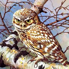 Схема вышивки «Сова»