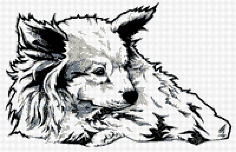 песик - питомец, собака, любимец - предпросмотр