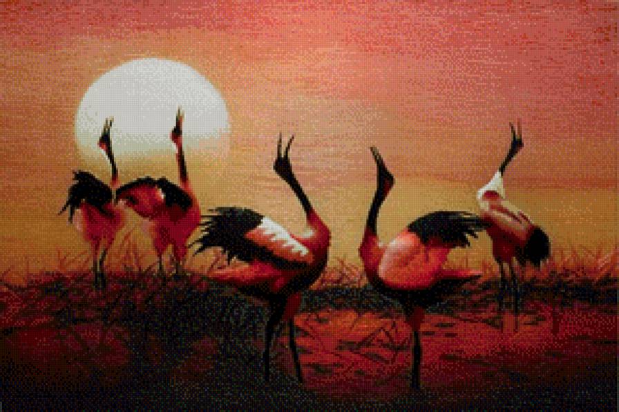 журавли - закат, природа, птицы - предпросмотр