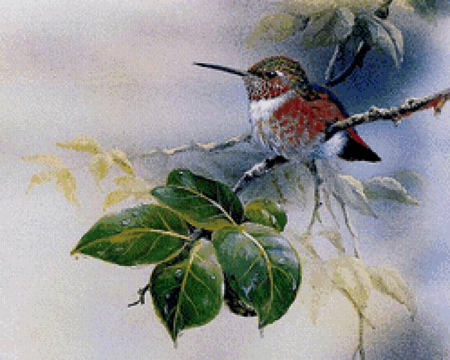 птичка на веточке 2 - пейзаж, веточка, дерево, природа, серия птицы, птицы - предпросмотр