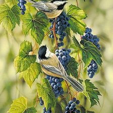 Схема вышивки «синички на винограде»