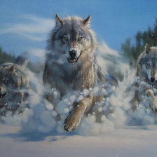 Схема вышивки «волчья стая»