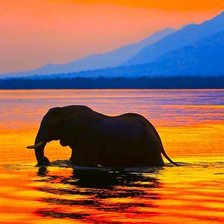 Схема вышивки «№482734»