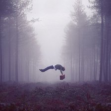 Схема вышивки «невесомость»