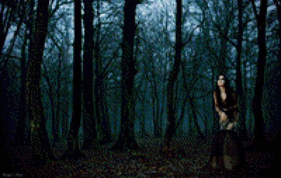 в лесу - предпросмотр