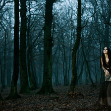 Схема вышивки «в лесу»