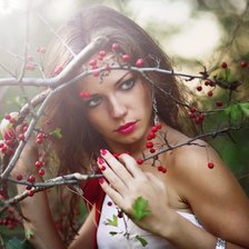 Схема вышивки «рябина»