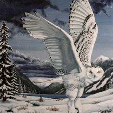 Схема вышивки «Серия "Птицы"»