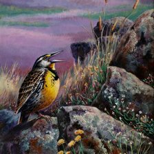 Схема вышивки «Серия "Птицы"»