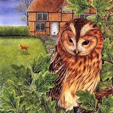 Схема вышивки «Серия "Птицы"»