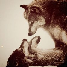 Схема вышивки «Преданность»