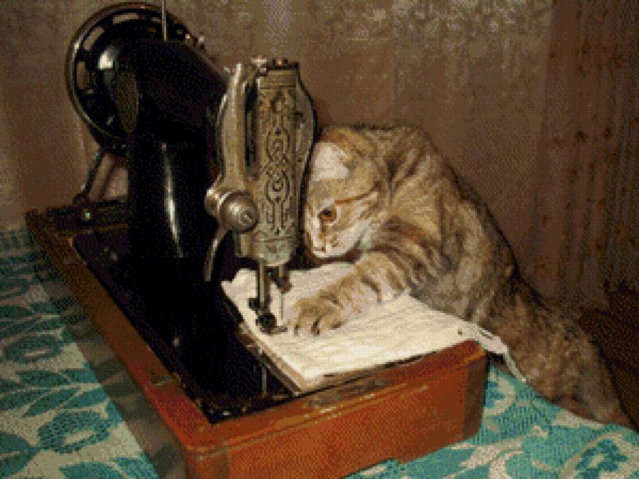 рукодельница - животное, друг, кот, любимец - предпросмотр