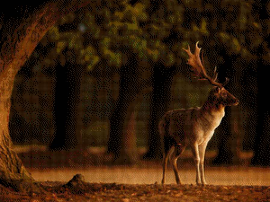 Олень в лесу - лес, животные, олень - предпросмотр