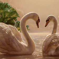 Схема вышивки «красавцы»