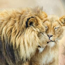 Схема вышивки «№483084»