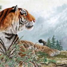 Схема вышивки «№483085»