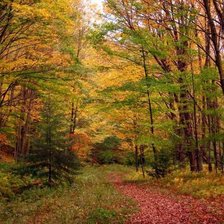 Схема вышивки «Осенний лес»