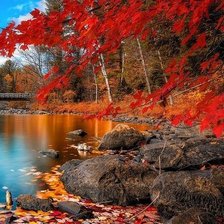 Схема вышивки «Осень»