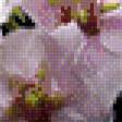Предпросмотр схемы вышивки «Цветы» (№483253)