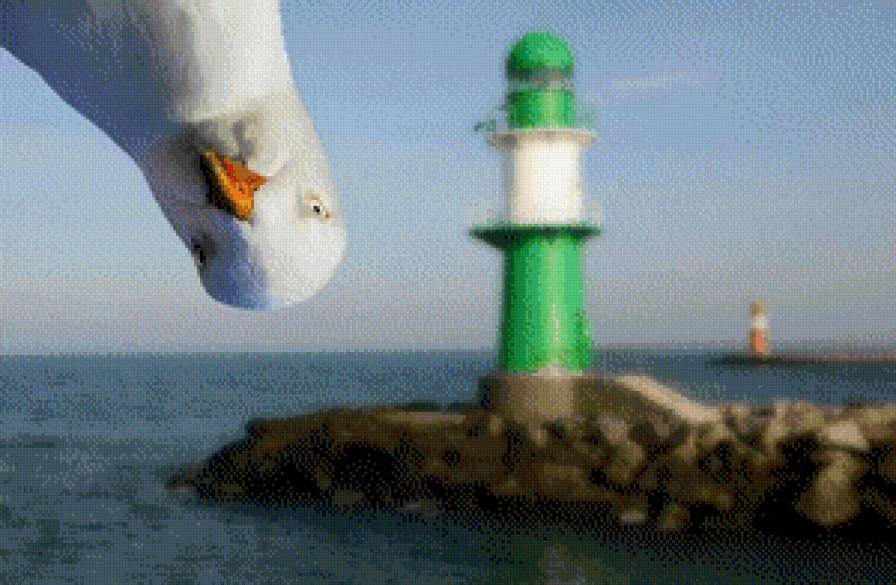 Krajina - krajina - предпросмотр