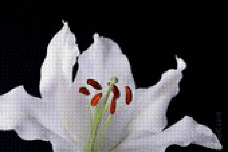 Часть 2 - цветы, лилии, триптих - предпросмотр