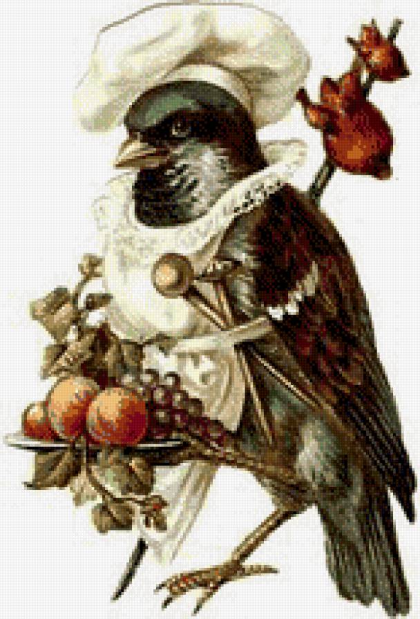 воробей повар - птицы, повар, для кухни - предпросмотр
