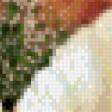 Предпросмотр схемы вышивки «белый мак» (№483366)