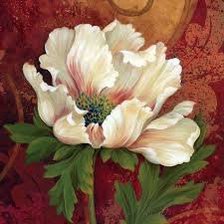 Схема вышивки «белый мак»