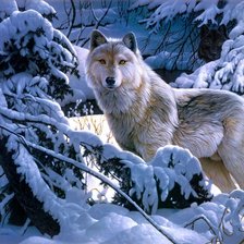 Схема вышивки «волчица»